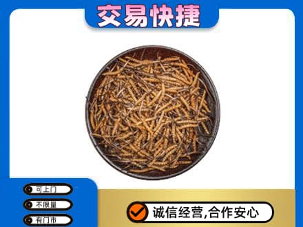安庆回收散虫草